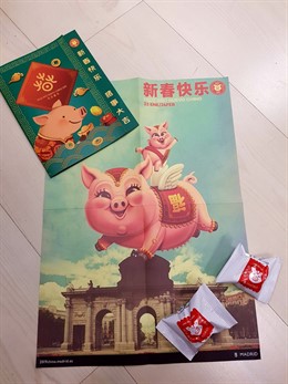 Año Nuevo Chino, el del Cerdo, en Madrid