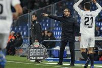 Bordalás: "La afición del Valencia es magnífica y no espero nada fuera de lo normal"