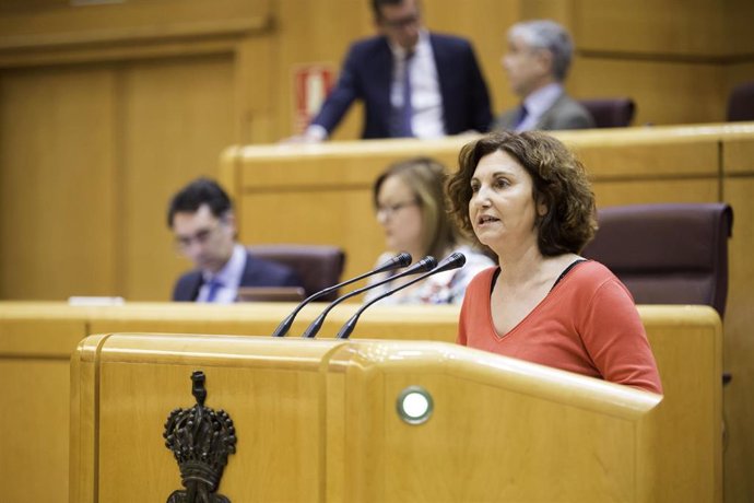 Pilar Garrido, senadora de Unidos Podemos