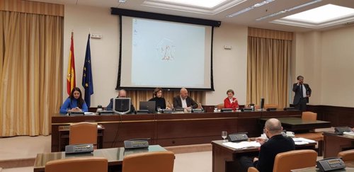 Isabel Oliver comparece ante la Comisión de Industria, Comercio y Turismo