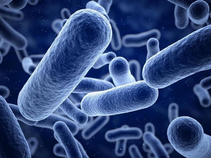 BACTERIAS
