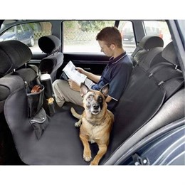 Perro viajando en coche con su dueño