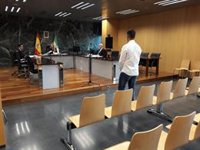 Absuelto el conductor que emuló estar en un videojuego porque sufrió un "brote psicótico súbito"