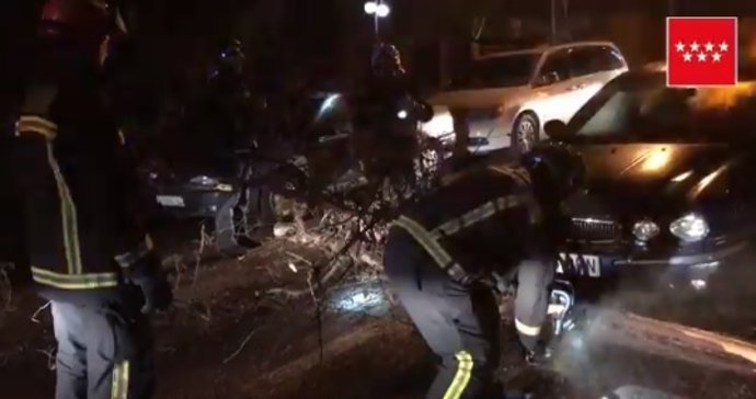 Bomberos retiran en Pozuelo ramas que cortaban el paso