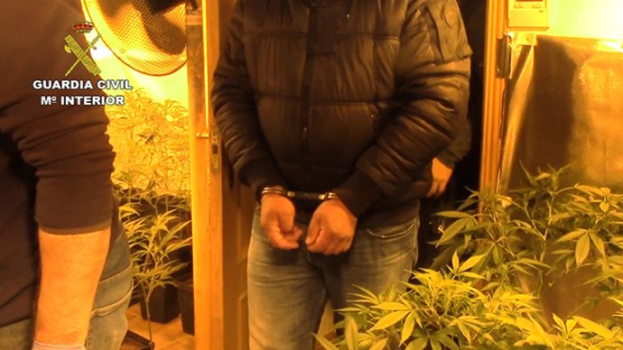 Detenido un grupo criminal internacional por tráfico de drogas