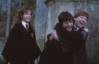 Todas las películas de Harry Potter ya están en Netflix y los muggles enloquecen y amenazan con un gran maratón