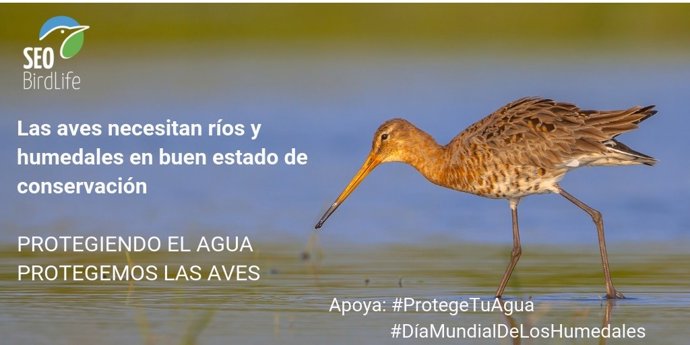 Día de los Humedales