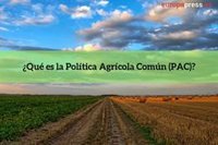Preguntas y respuestas sobre la Política Agrícola Común