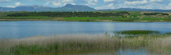 Embalse de las Cañas, en Viana