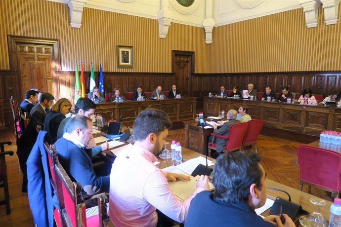 Pleno ordinario celebrado en la Diputación de Jaén