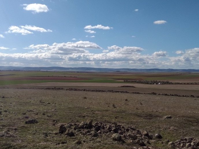 Coto de caza donde se promoverá la perdiz roja