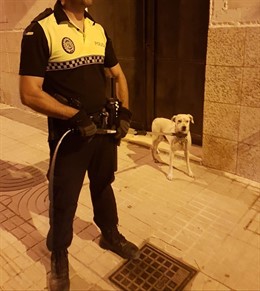 Imagen de archivo de un perro intervenido por la Policía Local