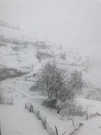 'Helena' pone hoy en riesgo o riesgo importante por viento, oleaje, nieve o aludes a 44 provincias