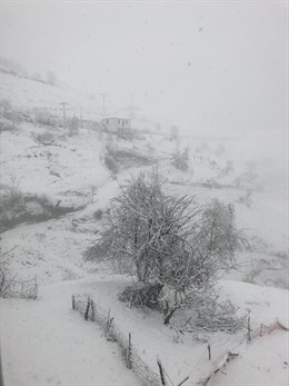 Nieve en Cangas del Narcea