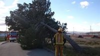 El viento provoca desprendimientos y la suspensión de partidos de fútbol y actividades en Alicante