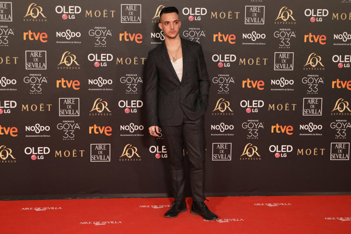 Premios Goya 2019