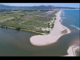 Restauración ambiental de los ecosistemas costeros de la Pletera