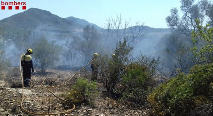 Dos bomberos trabajando en la extinción del incendio de Tivissa