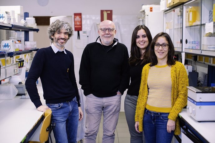 Investigadores de la Universitat de Barcelona (UB) y de su Instituto de Biomedic