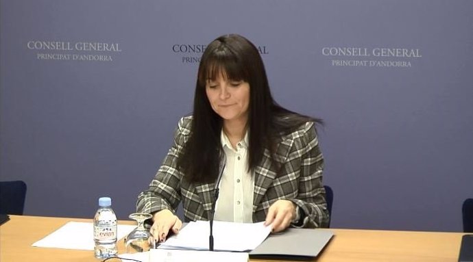 La Subsíndica General, Mnica Bonell,  Anuncia La Fecha De Campanya Electoral En