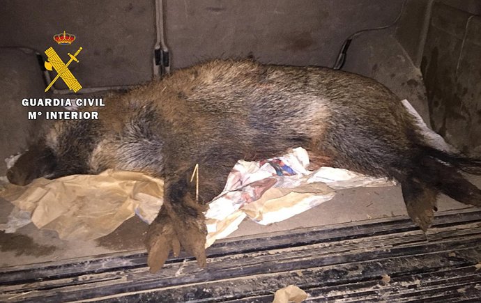 Nota De Prensa. Guardia Civil Burgos