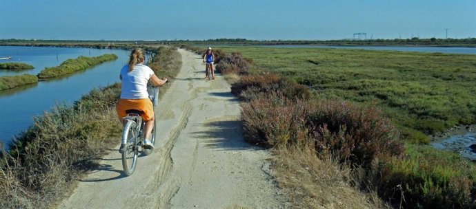 Sendero de Los Toruños