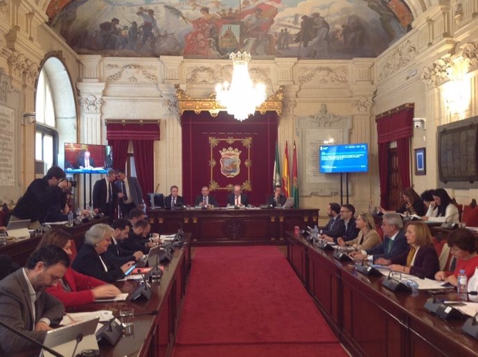 Pleno del Ayuntamiento de Málaga de Noviembre