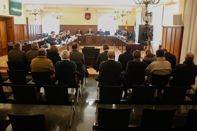 Primer día del juicio contra 14 personas por delito societario en Mercasevilla