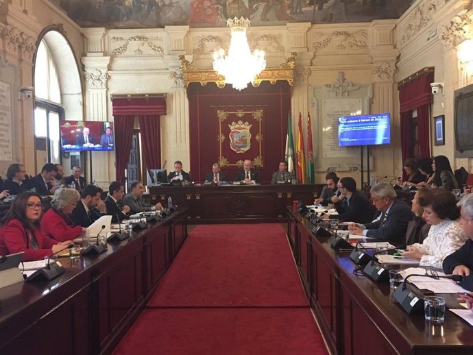 PLENO AYUNTAMIENTO DE MÁLAGA ENERO