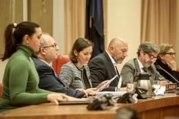 Comisión de Industria, Comercio y Turismo en el Congreso de los Diputados 