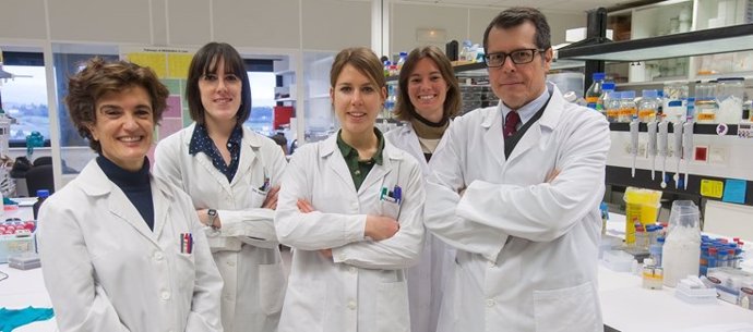 Investigadores españoles identifican mecanismos moleculares implicados en cáncer