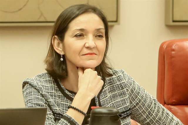 Comisión de Industria, Comercio y Turismo en el Congreso de los Diputados 