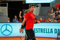 Verdasco se une a Bautista en los cuartos de Sofía