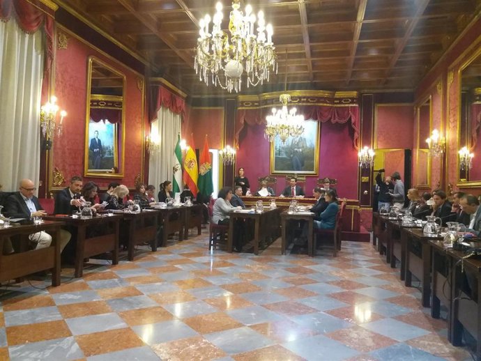 Pleno del Ayuntamiento de Granada, reunido para aprobar una ordenanza fiscal par
