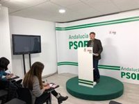 PSOE-A: PP-A y Cs hacen "uso partidista" del Parlamento andaluz con iniciativas sobre Cataluña