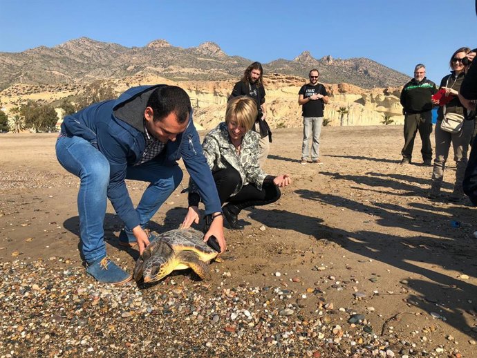 Imagen de la liberación de una tortuga boba tratada en el Centro de Recuperación