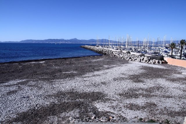 Puertos Islas Baleares