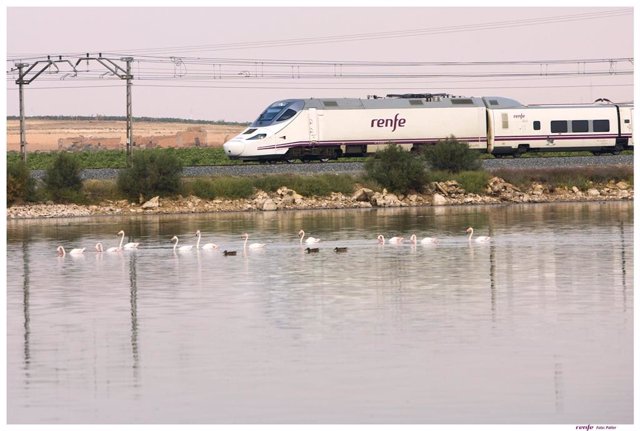 Tren Alvia Cádiz-Madrid en una imagen de archivo