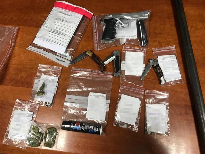 Armas y drogas requisadas por la Policía Foral
