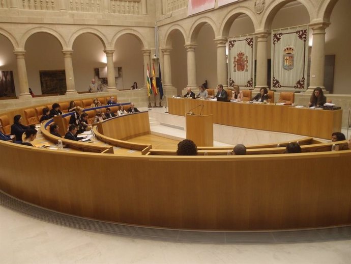 Pleno del Parlamento de La Rioja