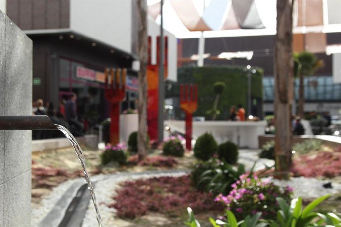 Programa 'Ahorra agua, es centro de vida'