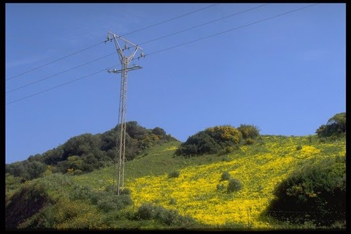 Tendido eléctrico