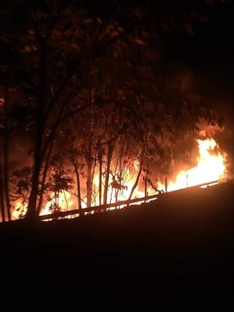 Atentado en un oleoducto de Ecopetrol en Colombia