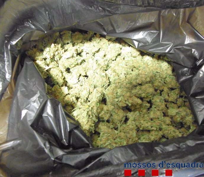 Bolsa con más de un kilo de marihuana hallada en un coche en Figueres