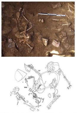 Restos de perro adulto, situado entre esquelos humanos