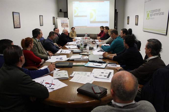 Reunión del Consejo Sectorial de Aceituna de Mesa