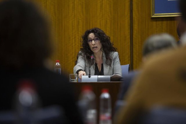 La consejera de Igualdad, Políticas Sociales y Conciliación, Rocío Ruiz, en comi