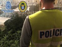 Tres detenidos al desmantelar una plantación de marihuana en Jerez