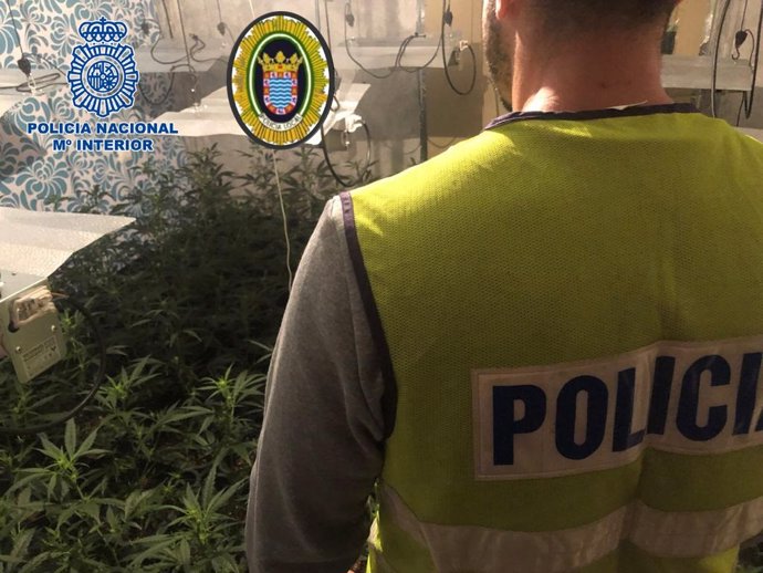 Nota De Prensa: Desmantelada Una Nueva Plantación De Marihuana Ubicada Dentro De