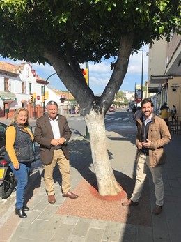 José del Río presenta los nuecos alcorques